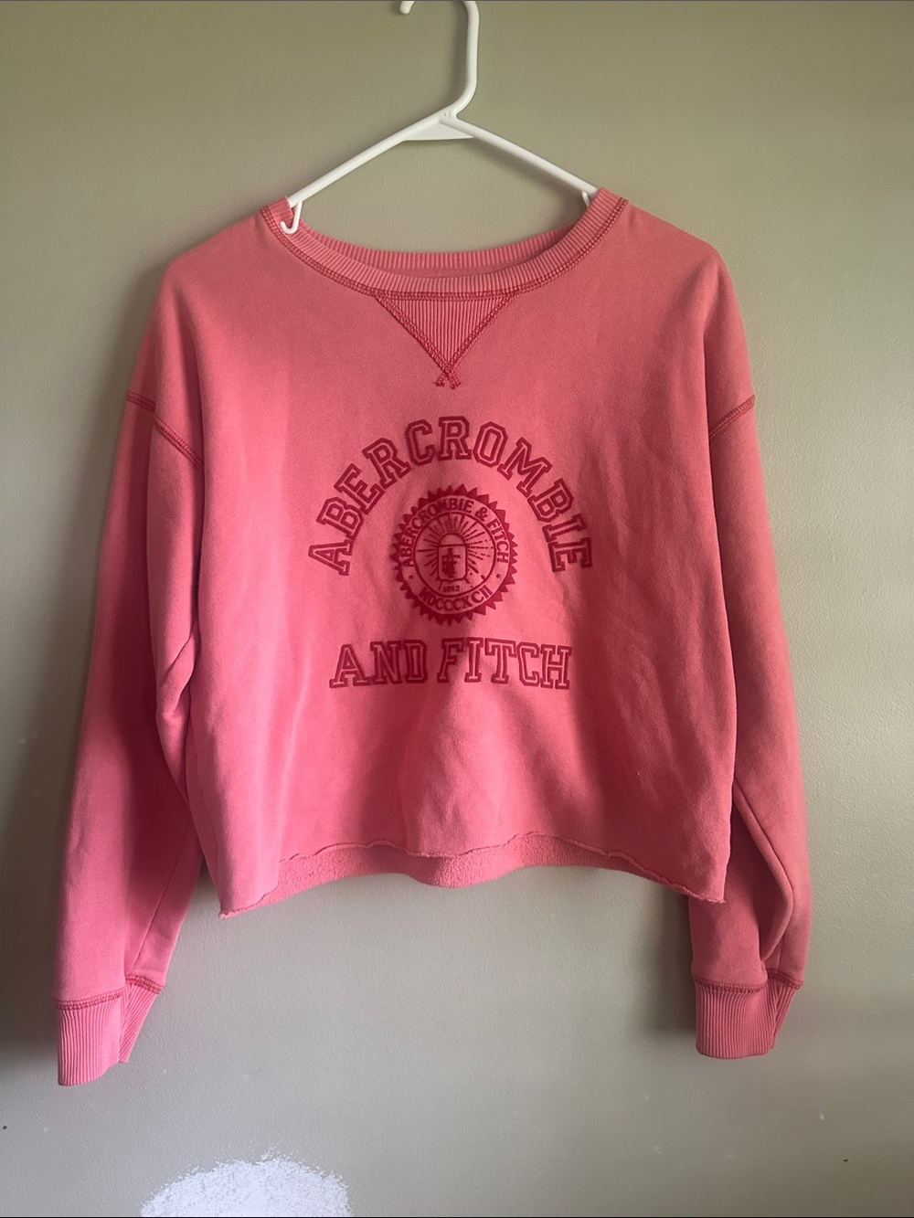 Abercrombie & Fitch Coral Crewneck Sweatshirt